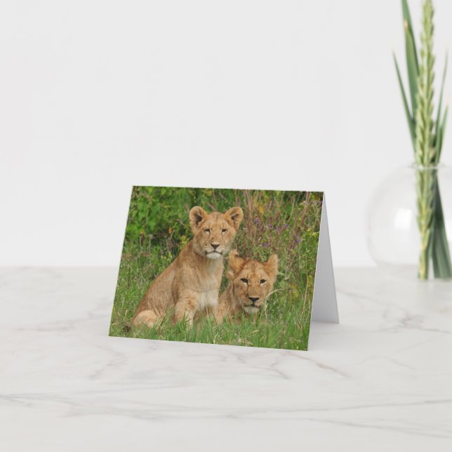 Lion Cubs Note Cards (Front)