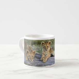 Lion Cubs on Log Espresso Cup
