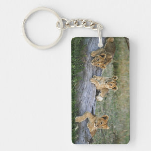 Lion Cubs on Log Keychain