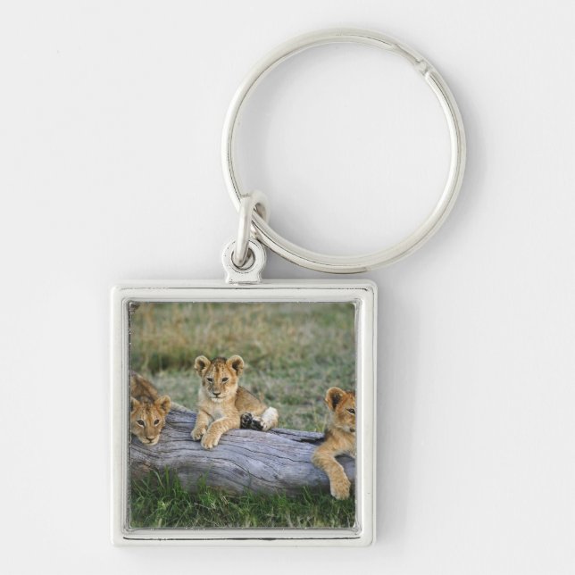 Lion Cubs on Log Keychain (Front)