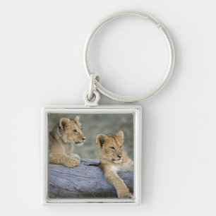 Lion Cubs on Log Keychain