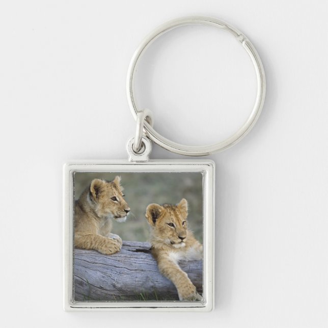 Lion Cubs on Log Keychain (Front)