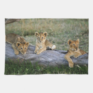 Lion Cubs on Log Kitchen Towel