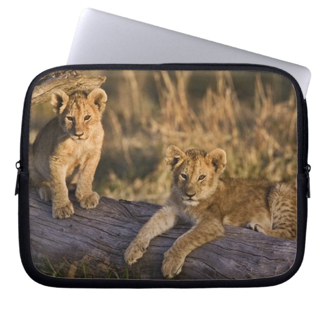 Lion Cubs on Log Laptop Sleeve (Front)