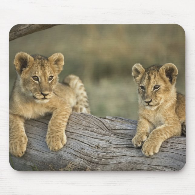Lion Cubs on Log Mouse Pad (Front)