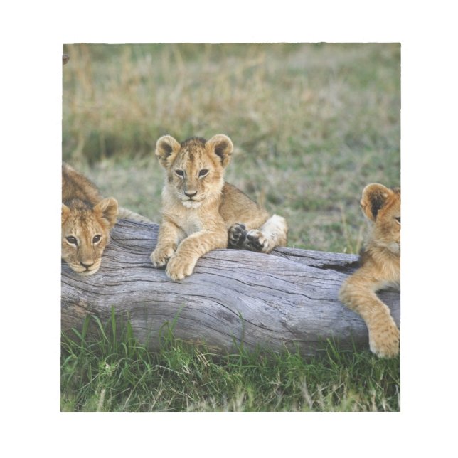 Lion Cubs on Log Notepad (Front)
