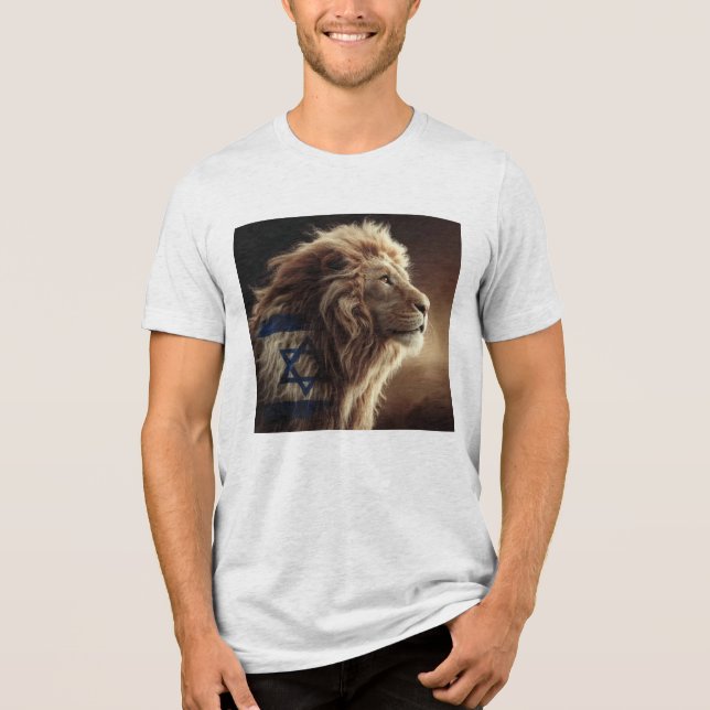 Lion de Sion sweat - shirt à capuche (Recto)