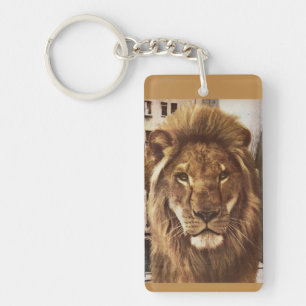 lion en ville