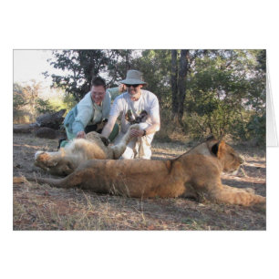 Lion Encounter Card (blank)