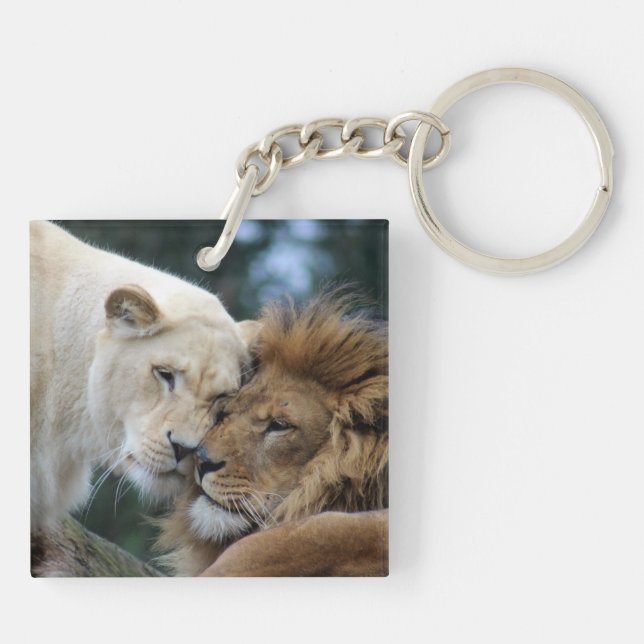 Lion et lionne (Dos)