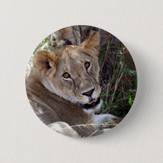 lion face 2 inch round button (Front)