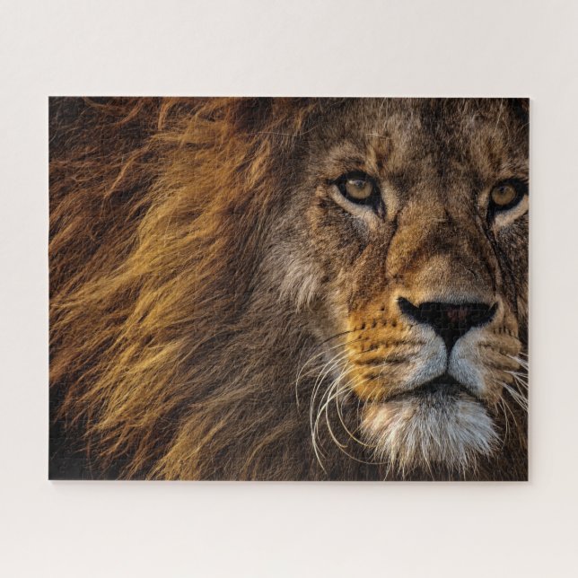 Lion Face Closeup Photo Jigsaw Puzzle (Horizontal)