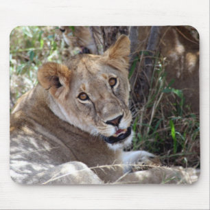 lion face mouse pad