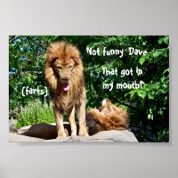 Lion farts