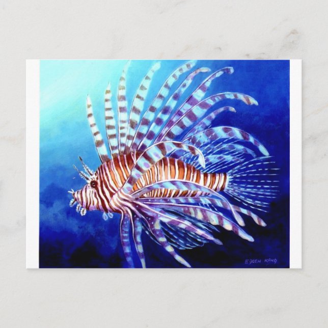 Lion Fish Of Borneo Postcard (Front)