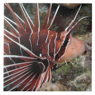 Lion Fish Tile