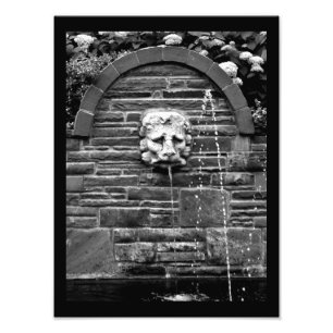 Lion Fountain Photo Print