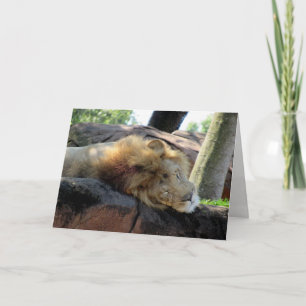 Lion Greeting Card (1273)