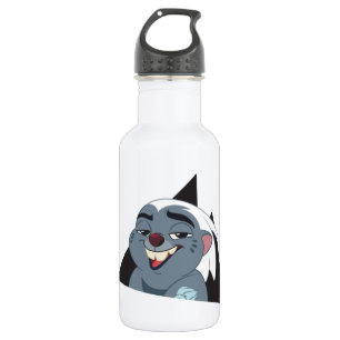 Lion Guard   Bunga Character Art 532 Ml Water Bottle