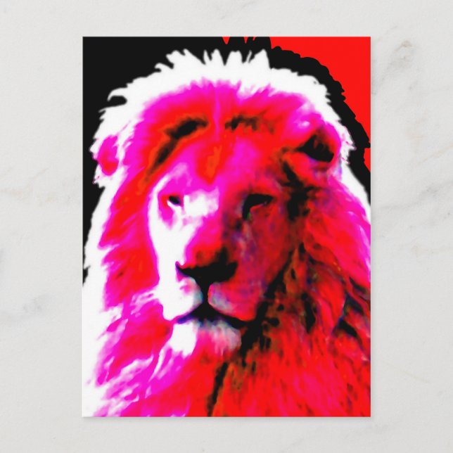 Lion Head Pink postcard (Front)