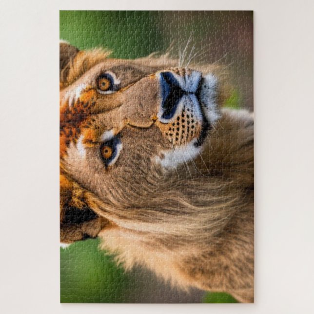 Lion Headshot Jigsaw Puzzle (Vertical)