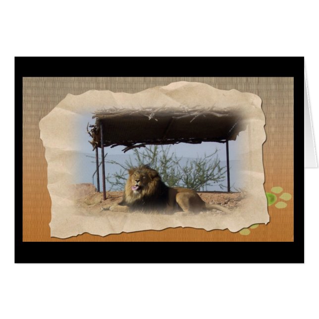 Lion idiot (Devant horizontal)