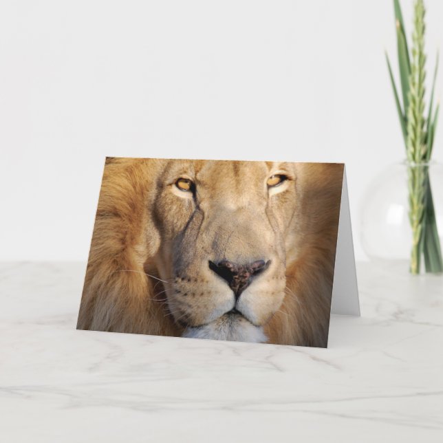 Lion Images Greeting Card (Front)