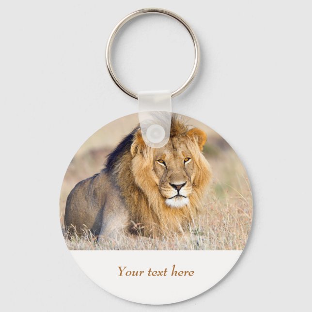 Lion in Africa wildlife Big Cat personalized text  Keychain (Front)