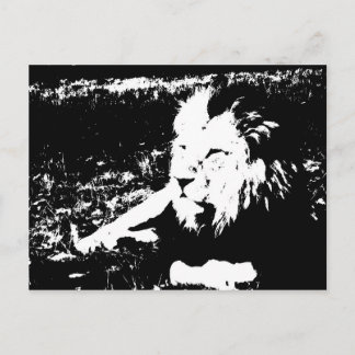 Lion in Black and White Postcard
