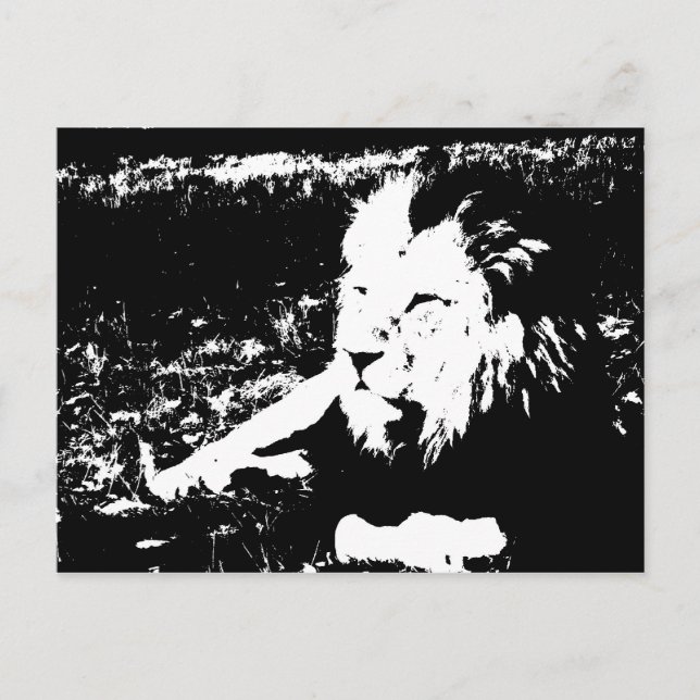 Lion in Black and White Postcard (Front)