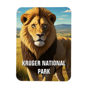Lion in Kruger National Park South Africa Magnet