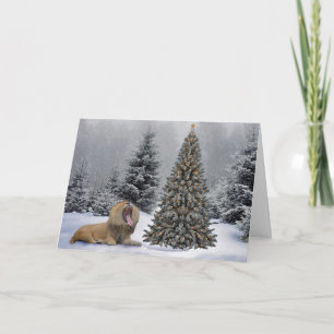 Lion in snow scene holiday card