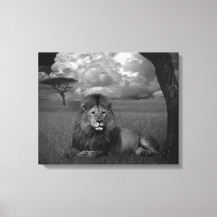 Lion in the Grass Canvas Print