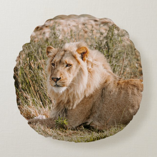 LION IN THE GRASS ROUND PILLOW (Front)