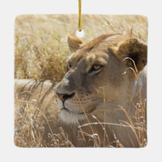 Lion in the laying in the high Serengeti grass Ceramic Ornament