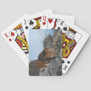 Lion in the Mountains (by Richard Friese) Playing Cards