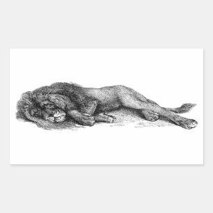 Lion in Vector Mode Sticker