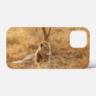Lion iPhone 13 Mini Coque
