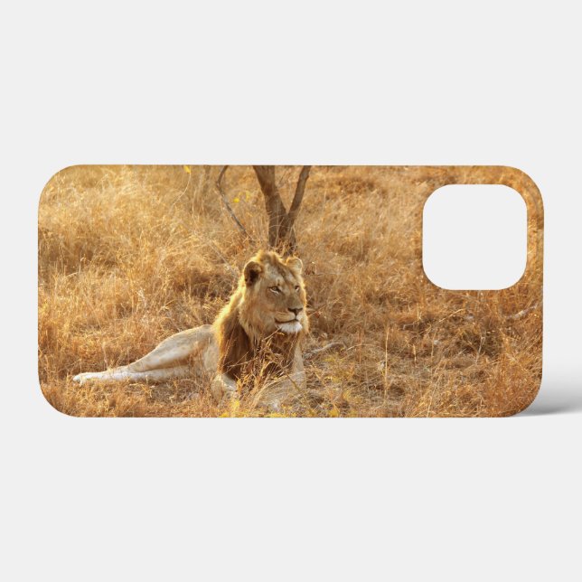 Lion iPhone 13 Mini Coque (Verso (horizontal))