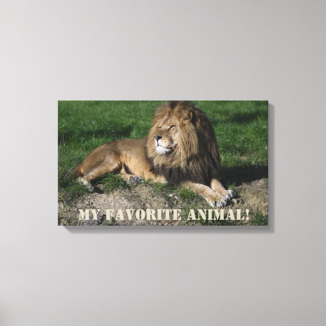 Lion is My Favourite Animal! Canvas Print (Front)