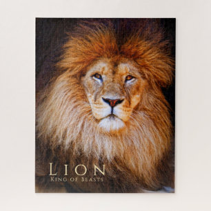Lion [Jigsaw puzzle: 520P] Jigsaw Puzzle