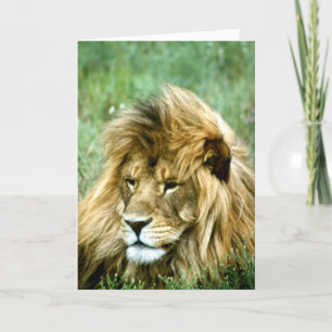 Lion joyeux carte de Noël