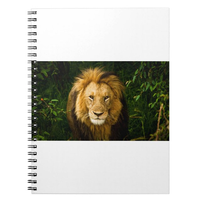 LION KING IN THE JUNGLE NOTEBOOK (Front)