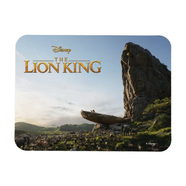 Lion King | Simba Presented To Kingdom Magnet (Horizontal)