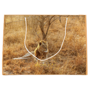 Lion Large Gift Bag