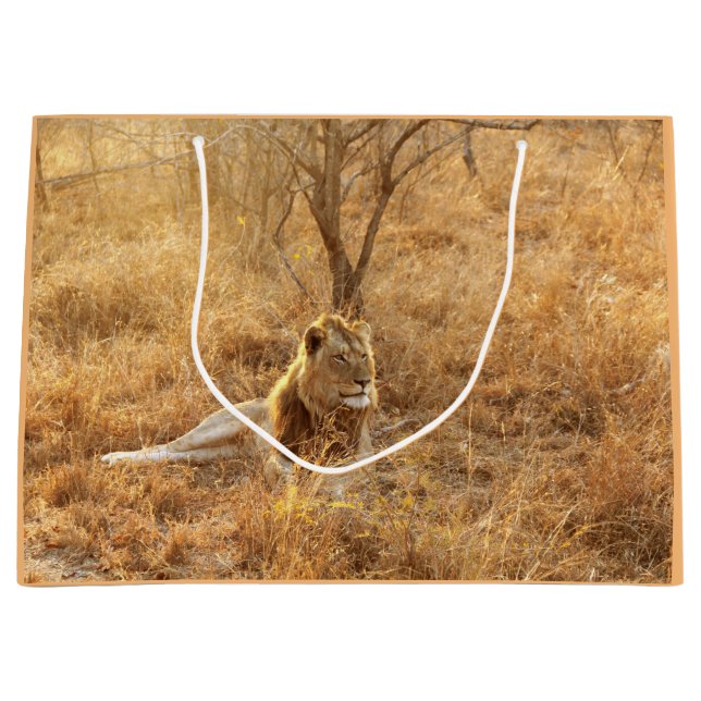 Lion Large Gift Bag (Front)