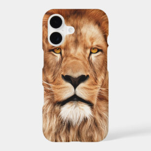 Lion Le Roi Photo Peinture