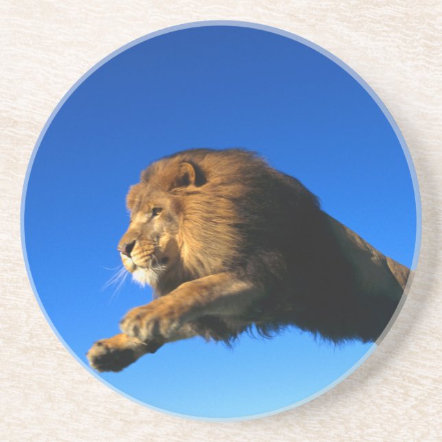 Lion Leaping and Blue Sky Coaster (Front)