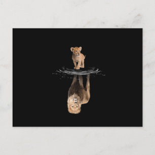 Lion Life Lion Love King Lion Announcement Postcard