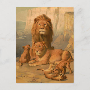 Lion, lioness and cubs postcard